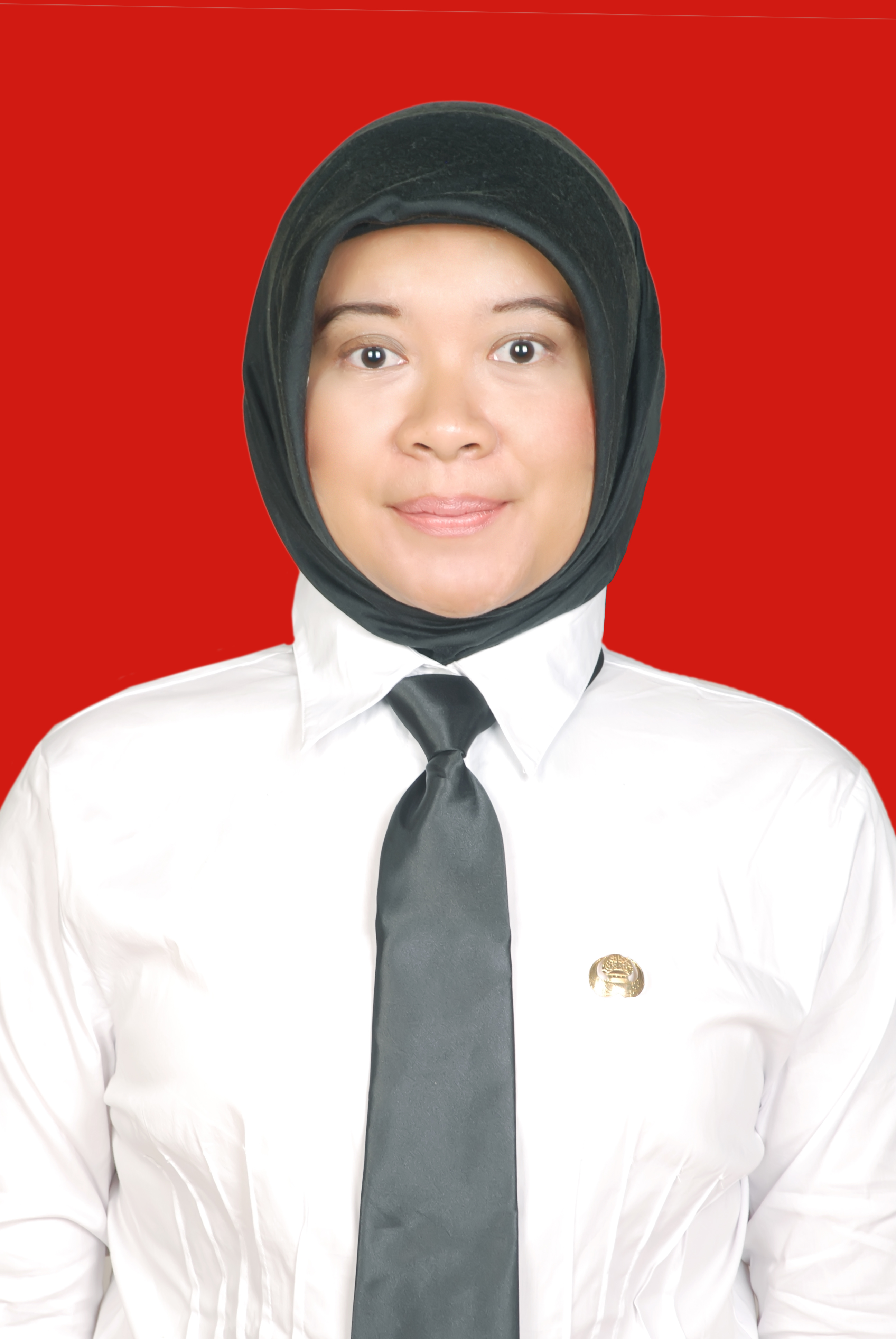 https://2.pakki.org/storage/anggota/bageur-240305092741.jpeg